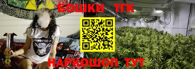амф Новозыбков