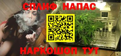 амф Новозыбков