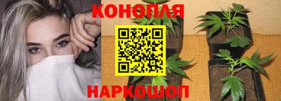 амф Новозыбков