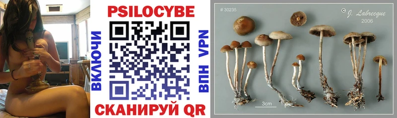 KRAKEN маркетплейс  Чистополь  Галлюциногенные грибы MAGIC MUSHROOMS 