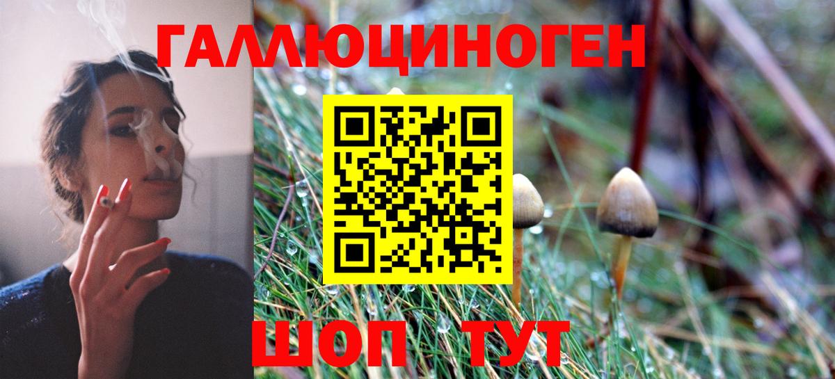 Чистополь  Галлюциногенные грибы GOLDEN TEACHER  где купить наркоту  Псилоцибиновые грибы Cubensis  Вход с VPN 